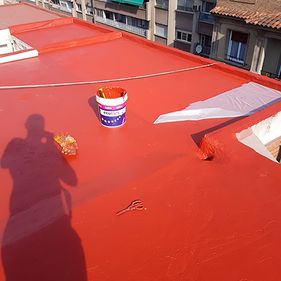 Blesa Tejados techo pintado