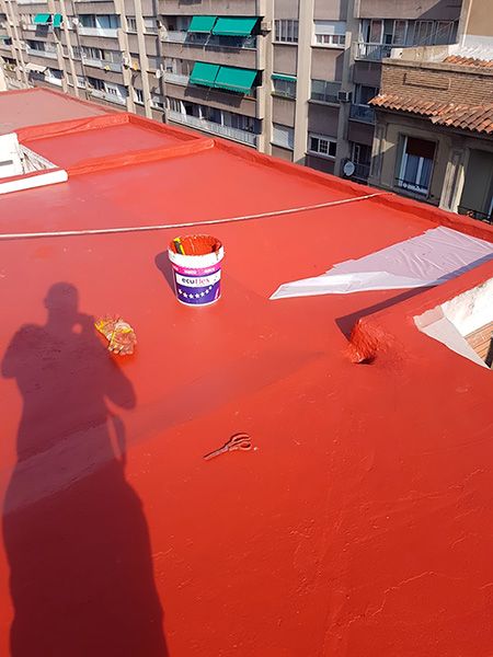 Blesa Tejados techo pintado